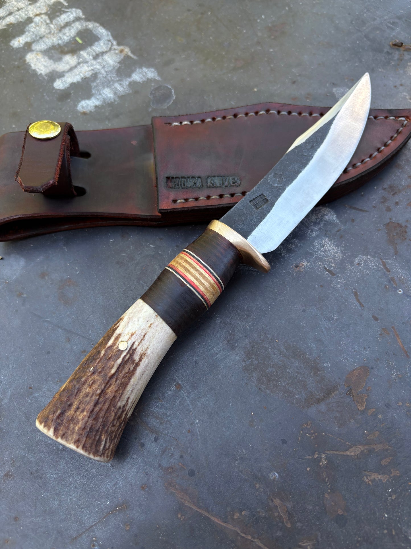 Sk8 Scagel Hunter